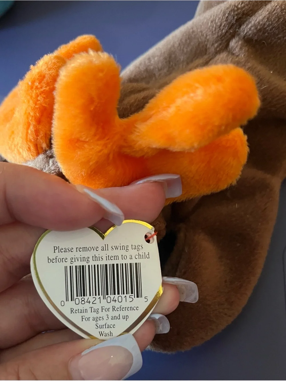 Chocolate the Moose Beanie Baby